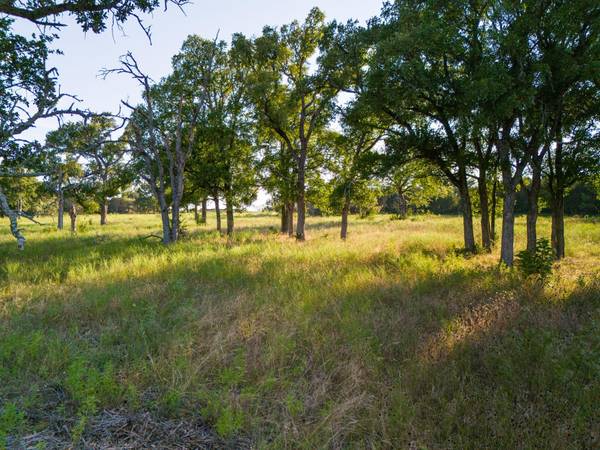 119 Pecan Creek DR, Lampasas, TX 76550