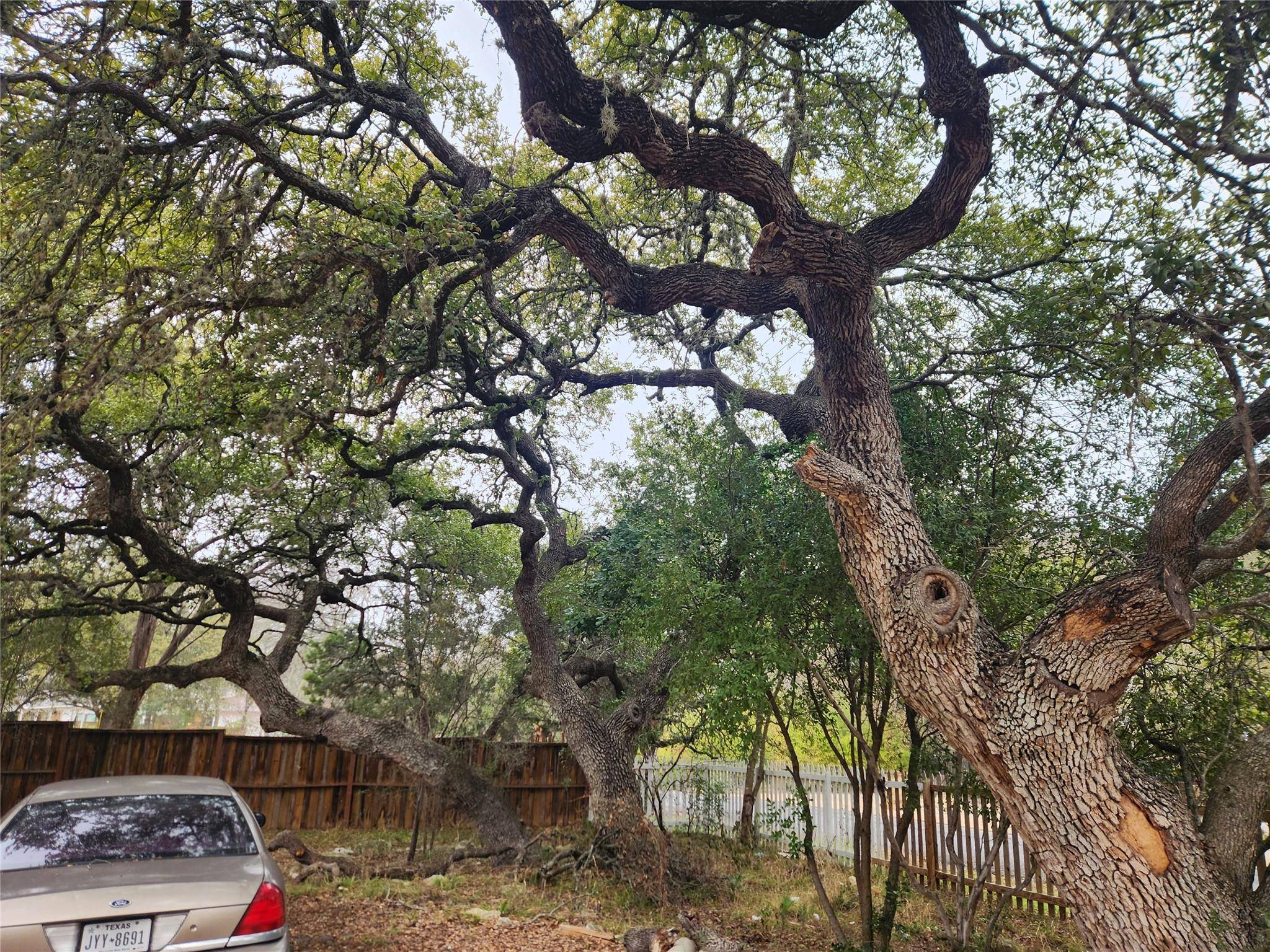 9605 Saugus LN, Austin, TX 78733