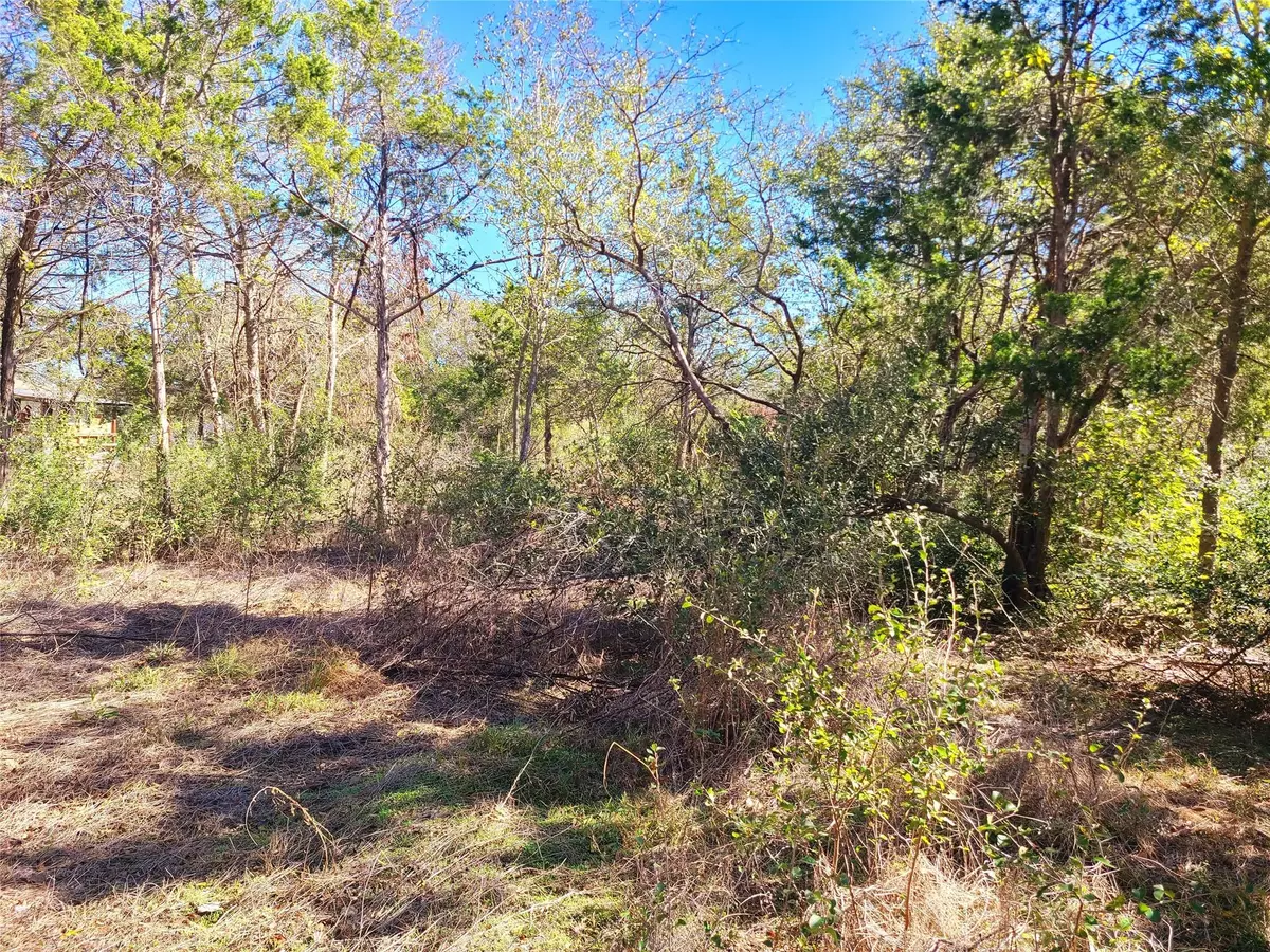 Bastrop, TX 78602,Lot 31 Tower View St Block 2