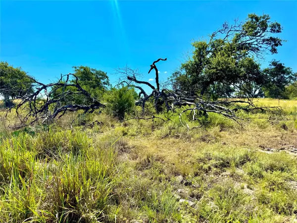 Goldthwaite, TX 76844,80 E FM 572