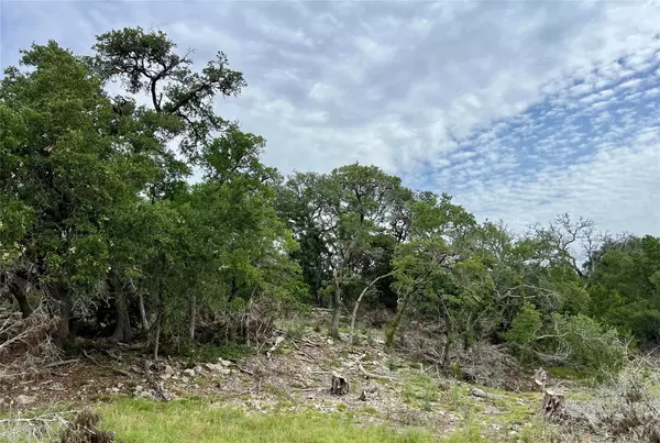 Blanco, TX 78606,TBD Narrows RD
