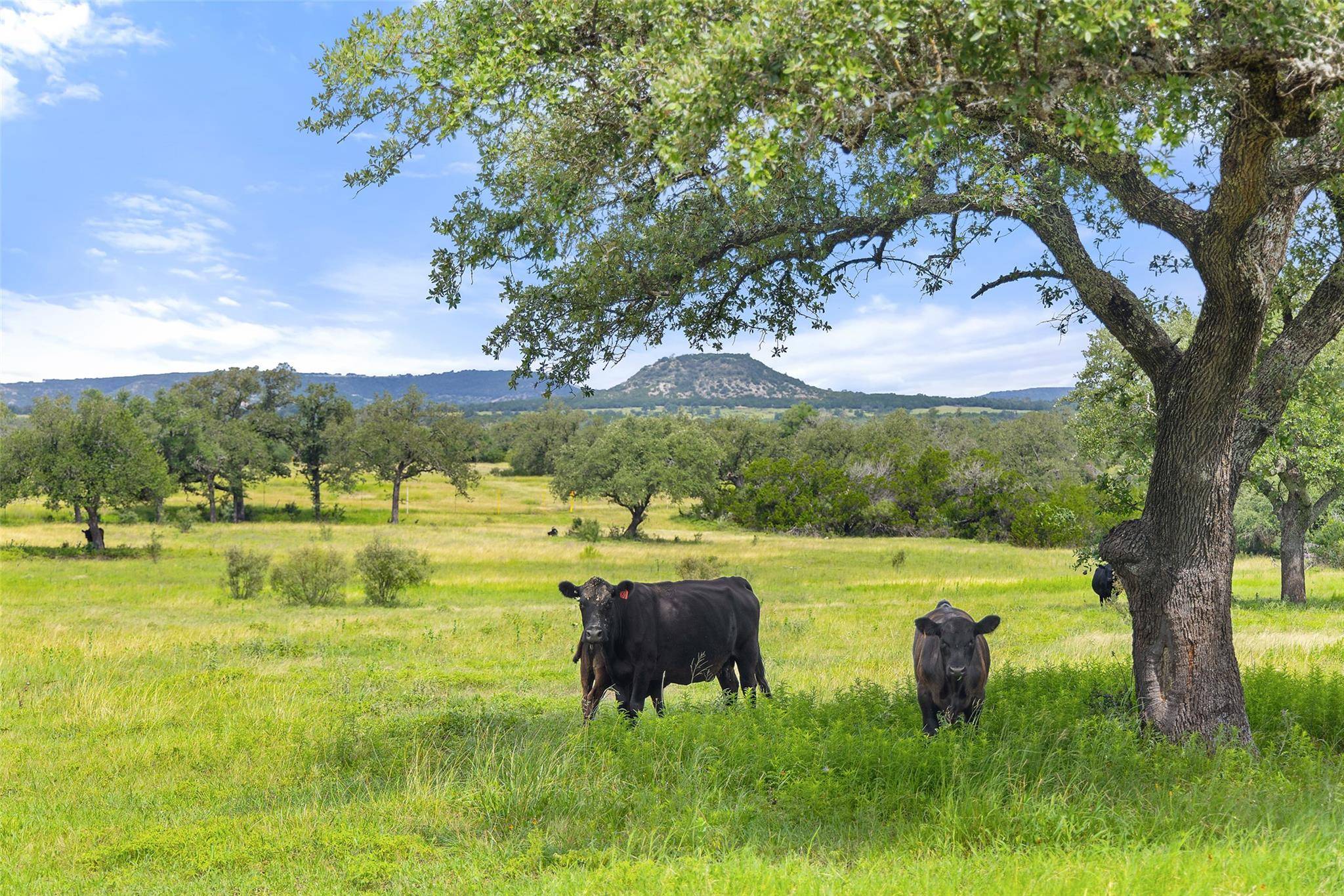 Fredericksburg, TX 78624,9069-86 Ranch Road 1323