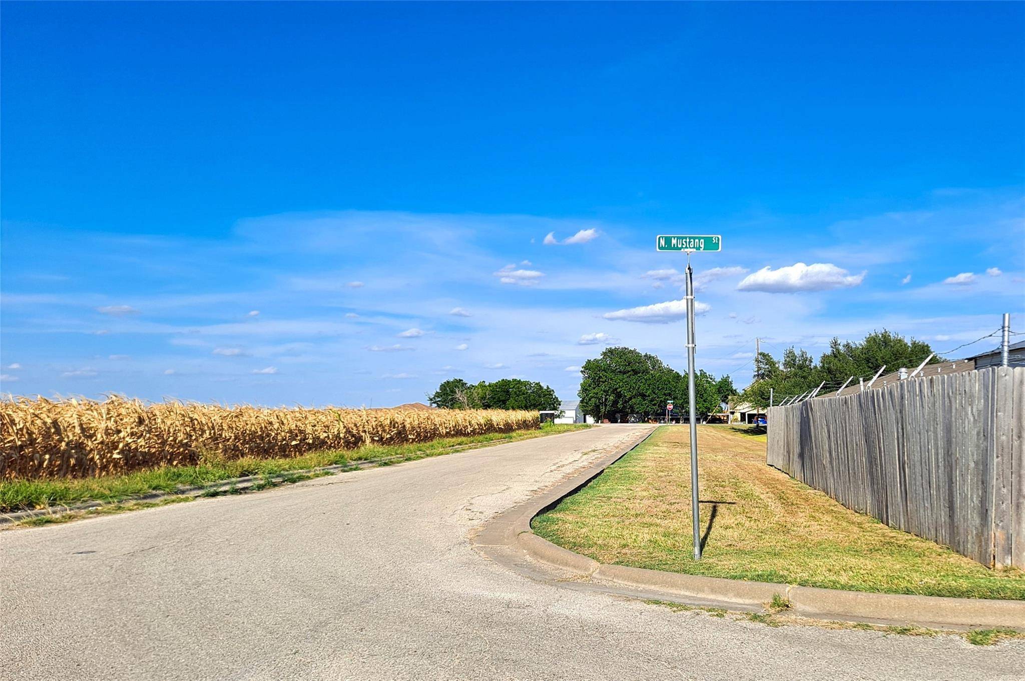 Granger, TX 76530,Lot 8 East Plum ST
