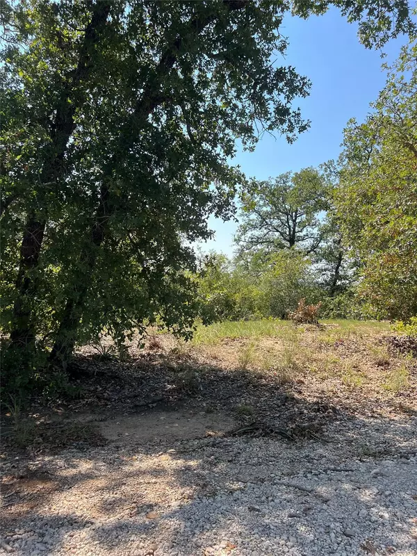 Bastrop, TX 78602,TBD Lakeshore RD