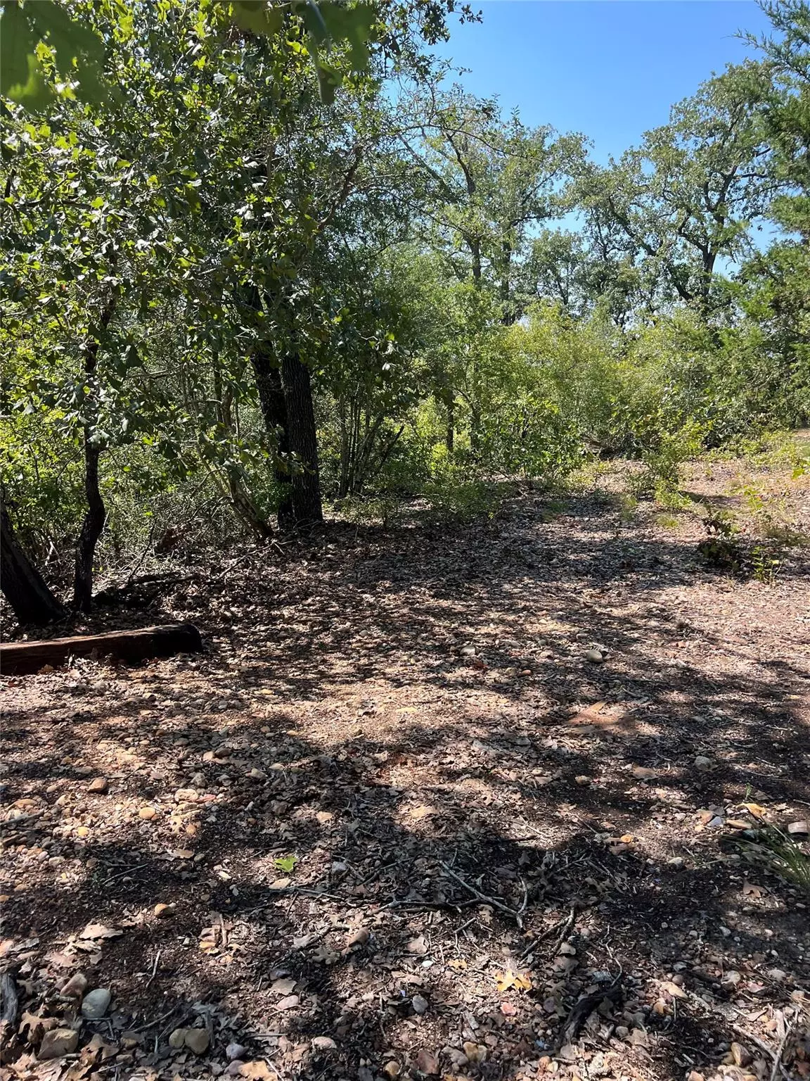 Bastrop, TX 78602,TBD Lakeshore RD