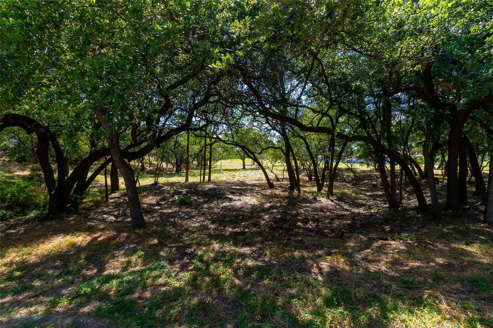 San Marcos, TX 78666,420 Blanco River Ranch RD
