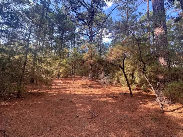 Lot 85 Hill Ridge DR, Bastrop, TX 78602