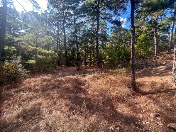 Bastrop, TX 78602,Lot 85 Hill Ridge DR