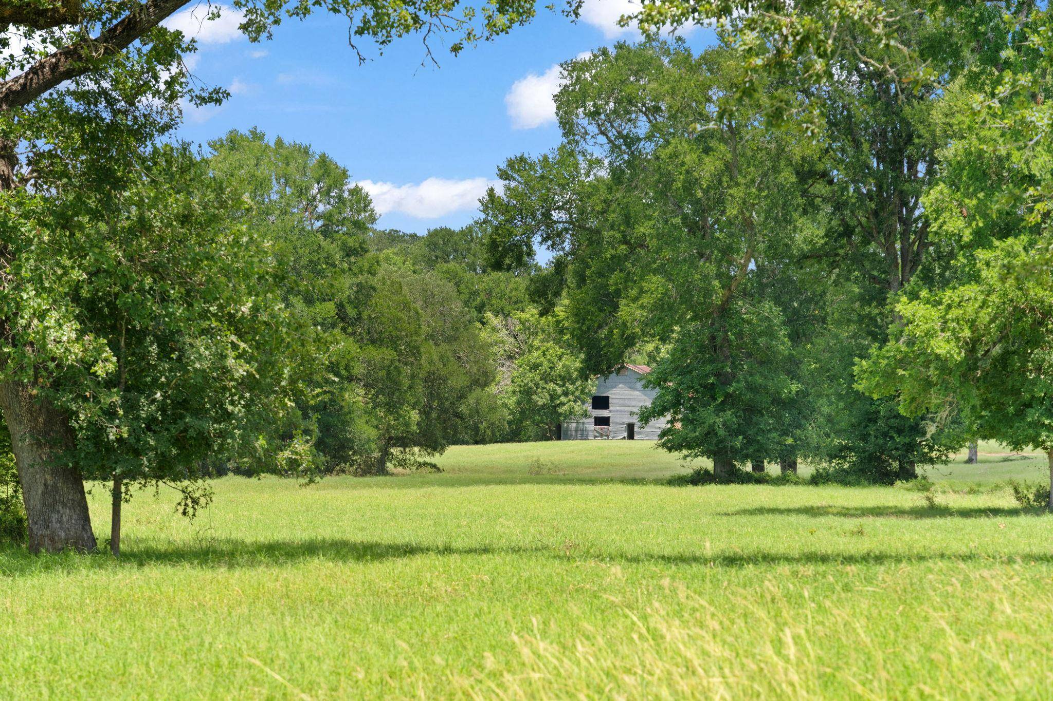Paige, TX 78659,1010 Saint Delight RD