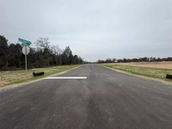 Elgin, TX 78621,163 Las Alturas DR