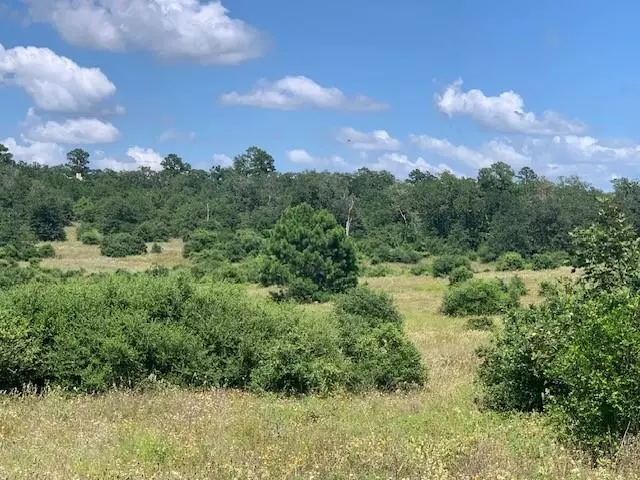 TBD - Lot 7 Colovista DR, Bastrop, TX 78602