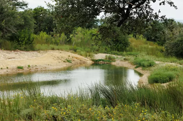 Johnson City, TX 78636,Lot 13 Ridgeway TRL