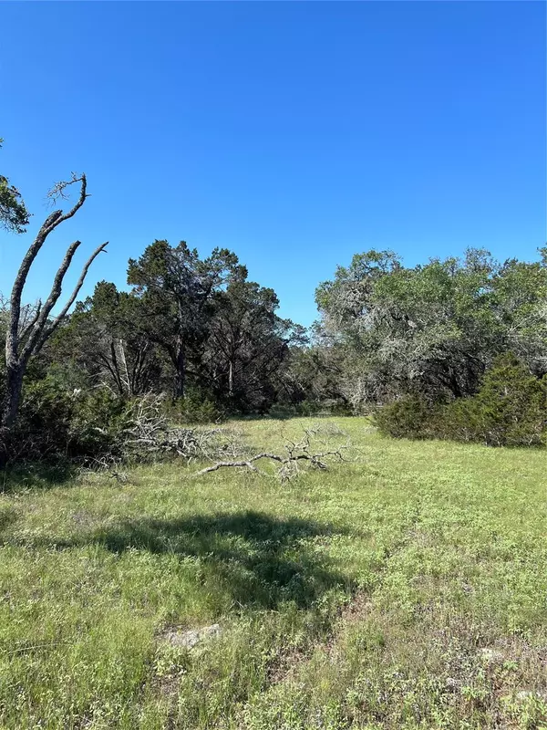 Wimberley, TX 78676,Tract 2 10 Acres Cambridge RD