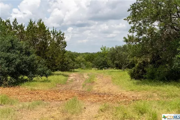 Salado, TX 76571,12323 Crows Ranch RD