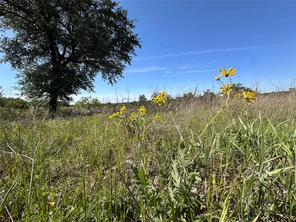 Lot 53 Marvin LN, Bertram, TX 78605