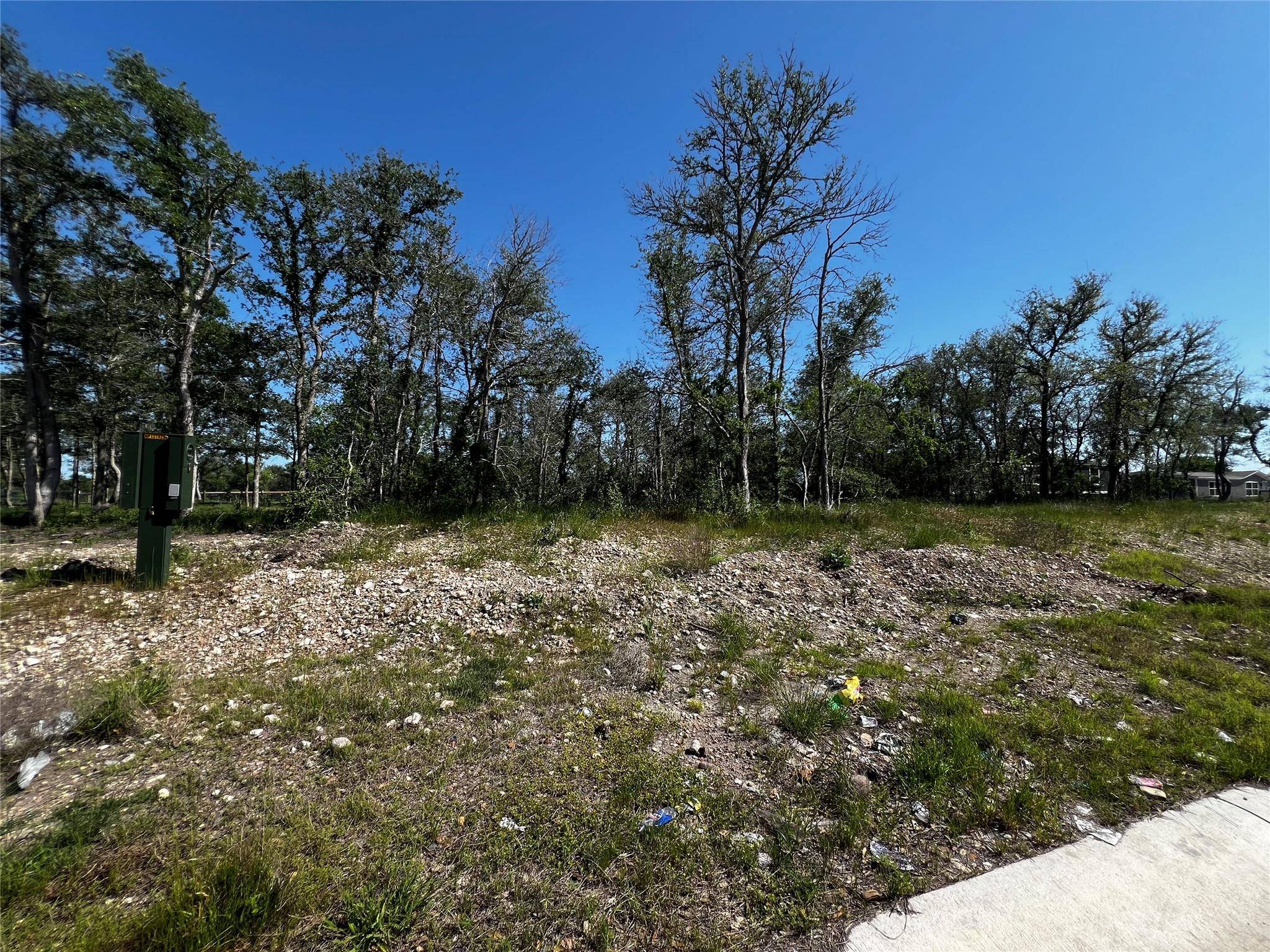 Dale, TX 78616,123 PRIMAVERA CT