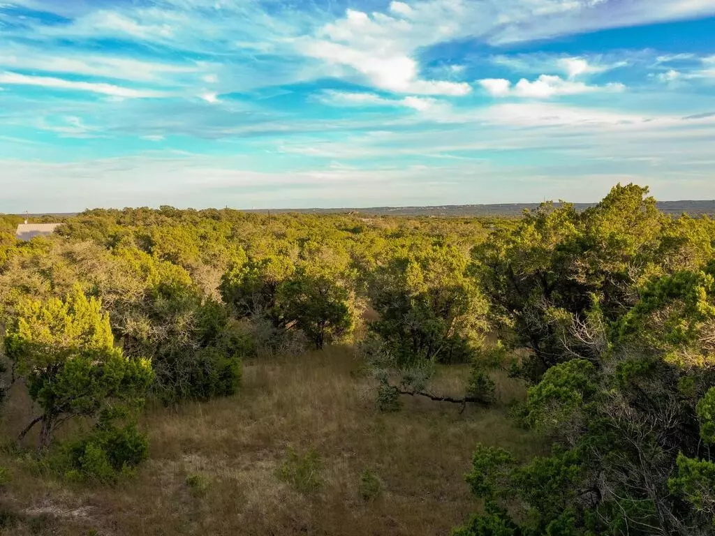 Dripping Springs, TX 78620,19.84 acres off RR 12 & Mirela Anne