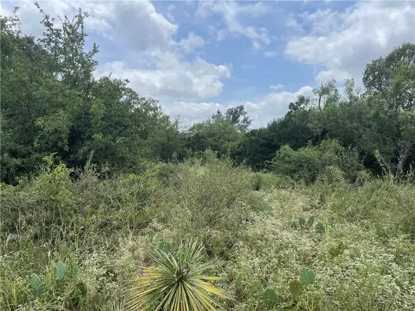 Granite Shoals, TX 78654,Lots 1015-1016 W Cottonwood