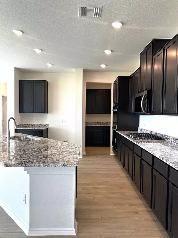 Round Rock, TX 78665,3720 Cerino LN