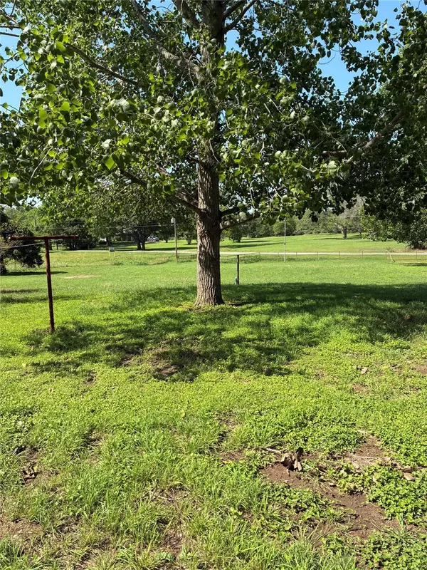 Smithville, TX 78957,1411 Pecan SHRS