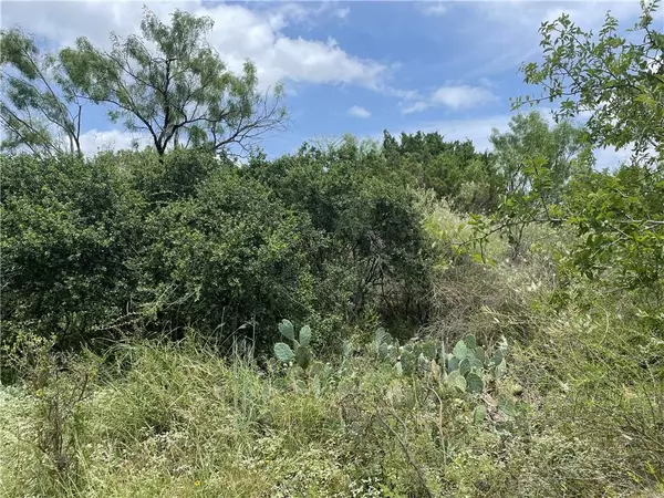 Granite Shoals, TX 78654,Lots 106-107 Hilldale