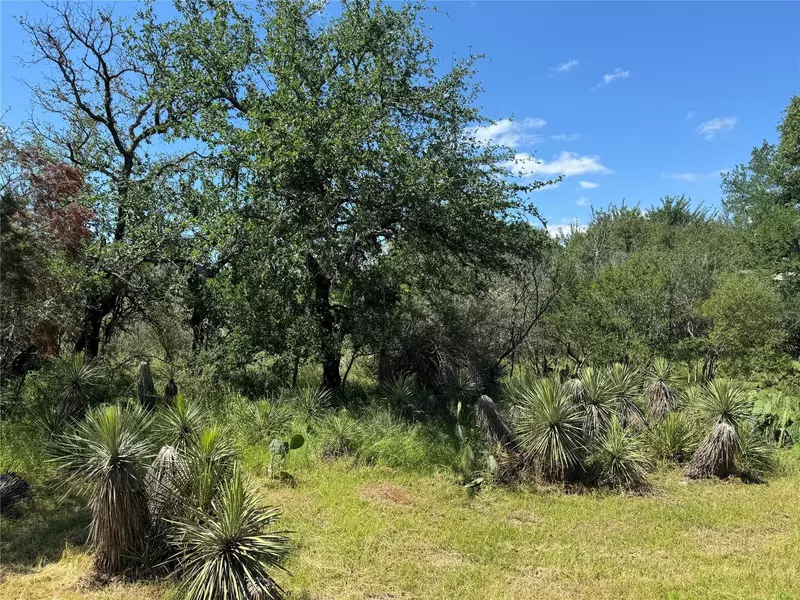 Lot 173 & 174 W Briar DR, Granite Shoals, TX 78654