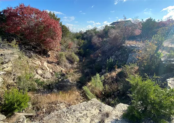Dripping Springs, TX 78620,10627 Lake Park DR