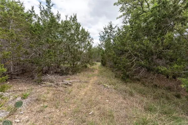 Austin, TX 78737,13921 Nutty Brown RD