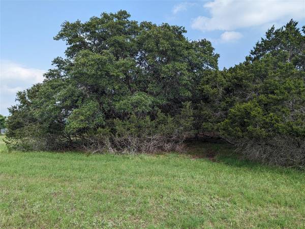 Lot 62 County Road 229, Briggs, TX 78608