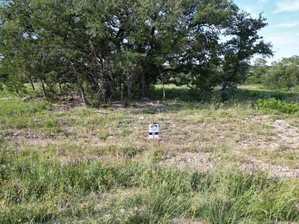 Bertram, TX 78605,Lot 20 Serenity DR