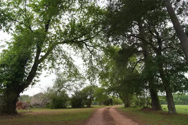 Navasota, TX 77868,17137 County Road 319