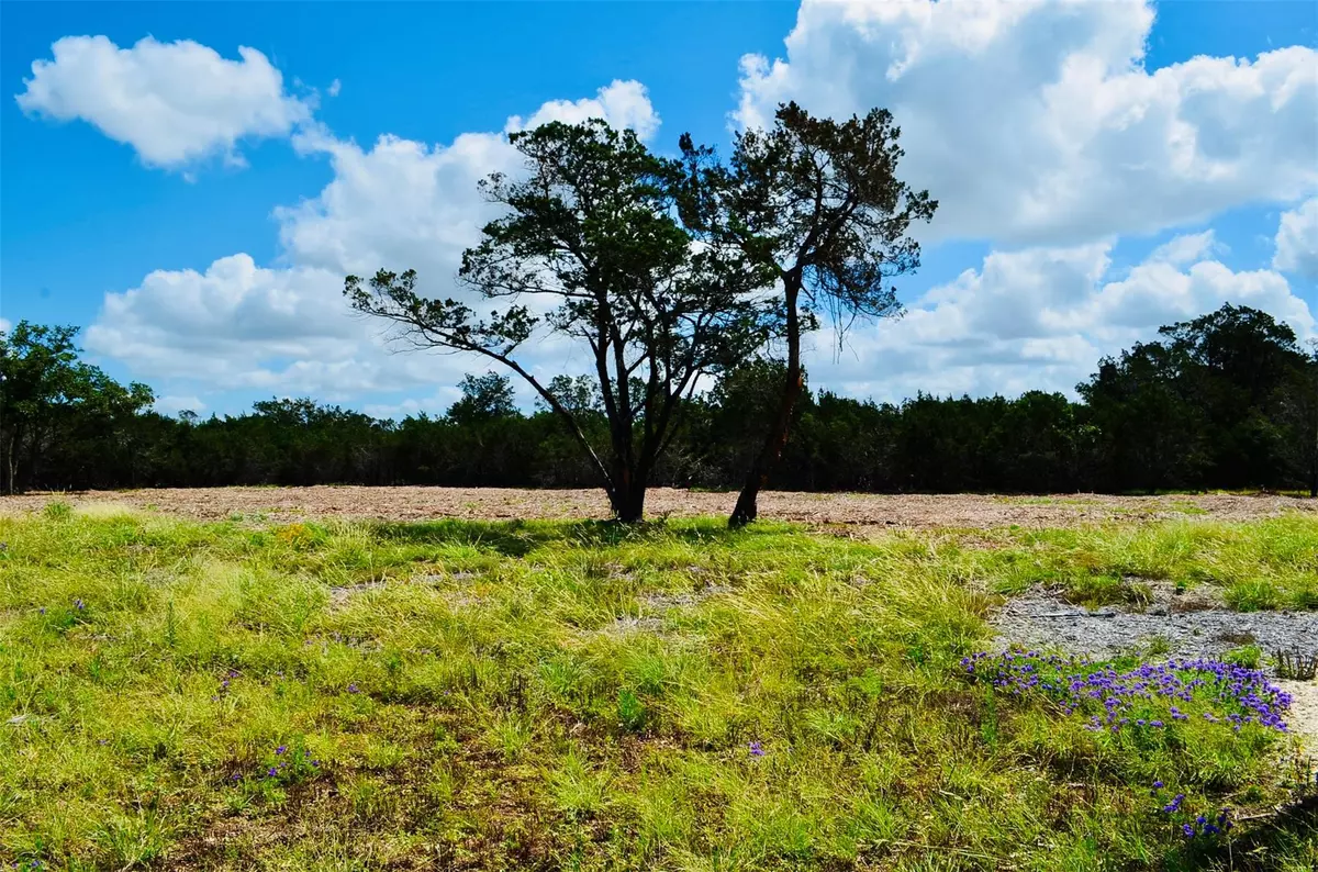 Bertram, TX 78605,Lot 16 Riparian Elm RD