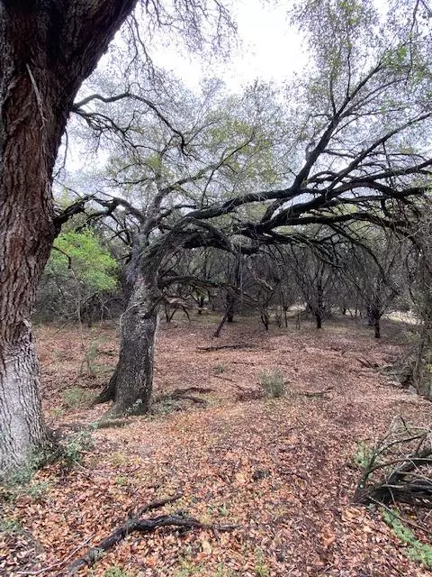 Lago Vista, TX 78645,3101 EARHART CV