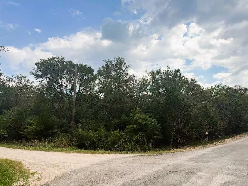 Bastrop, TX 78602,119 Waikiki DR
