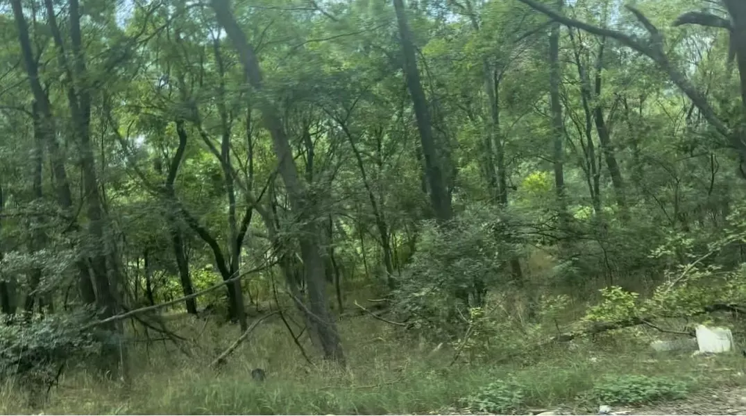 3802 Lower DR, Austin, TX 78725