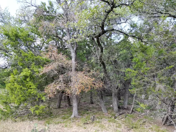 Florence, TX 76527,20940 Firefly RD