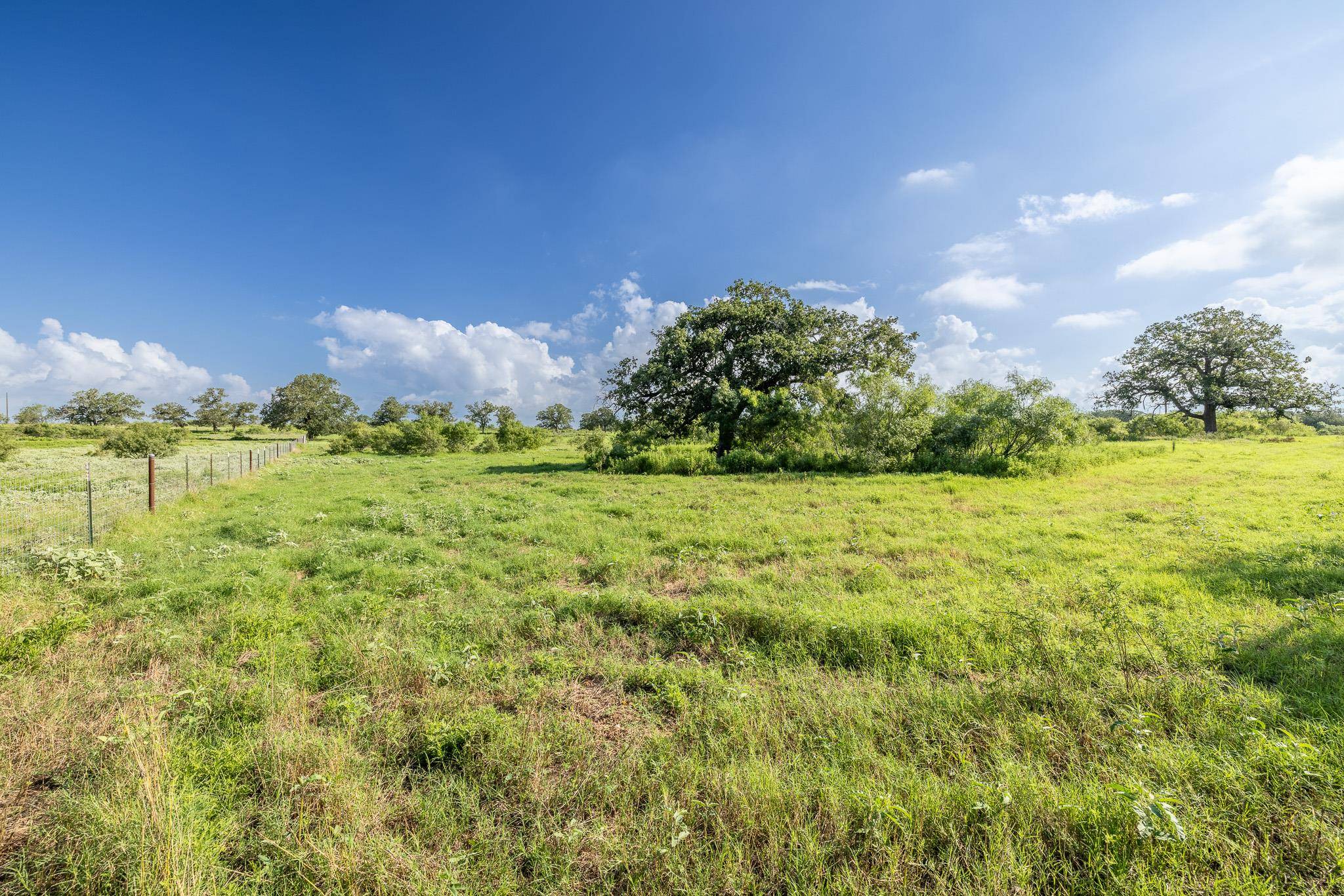 Gonzales, TX 78629,Lot 1-C County Road 491