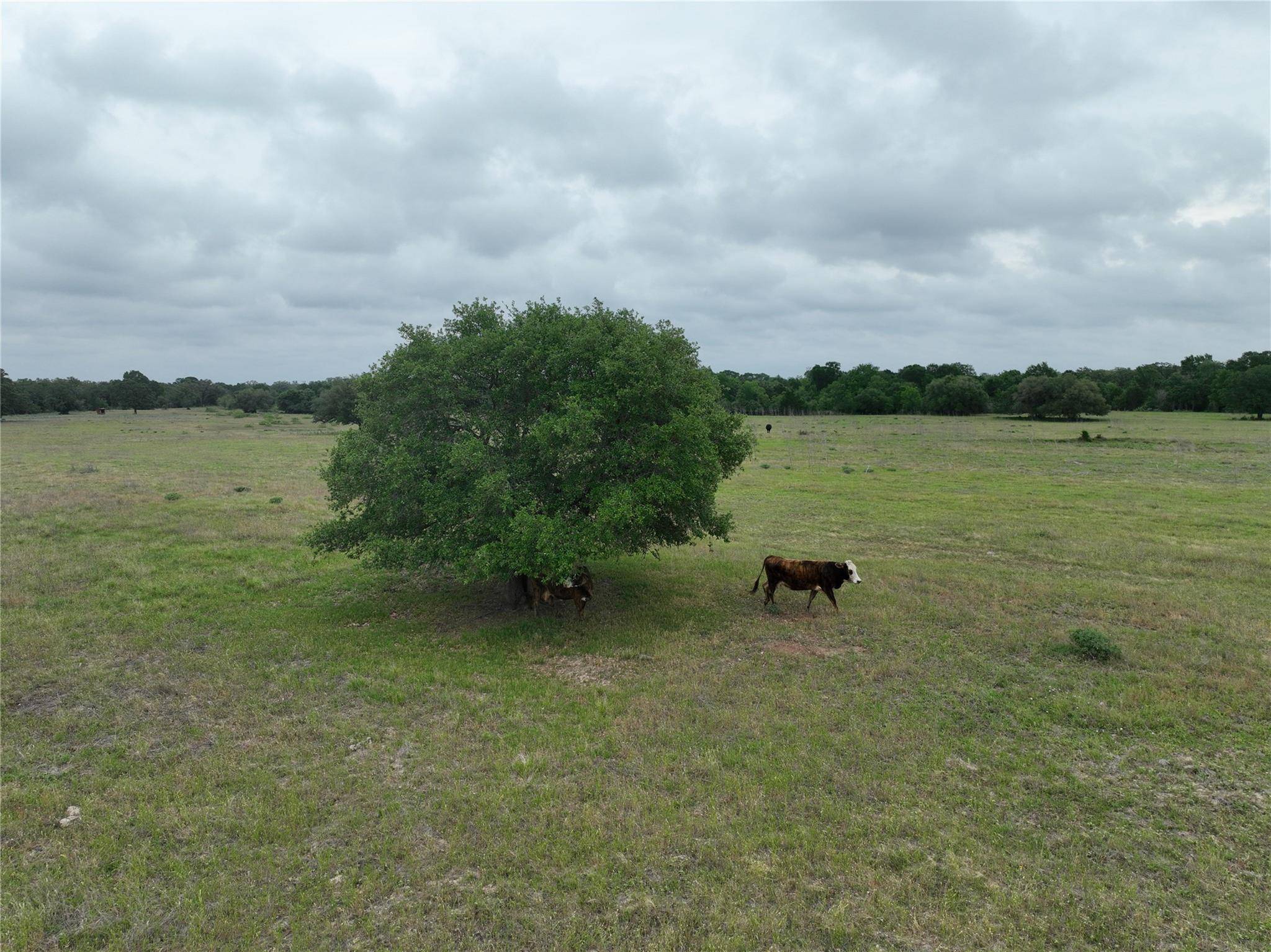 Giddings, TX 78946,TBD Lot 1 County rd 127 RD