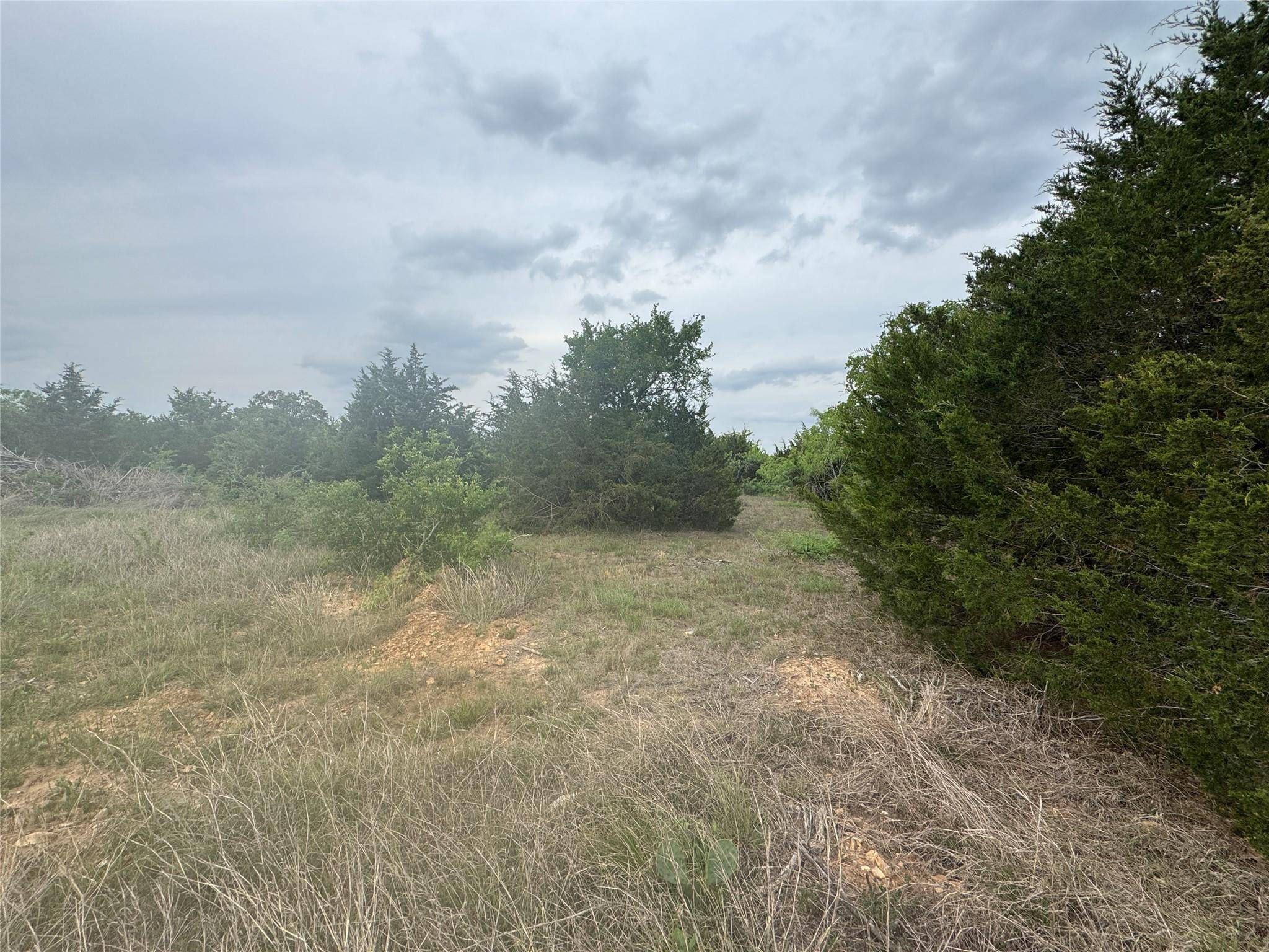 Cedar Creek, TX 78612,TBD Della LN
