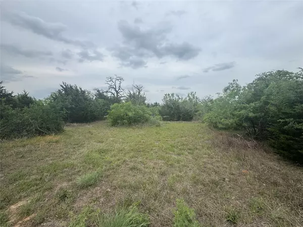 Cedar Creek, TX 78612,TBD Della LN