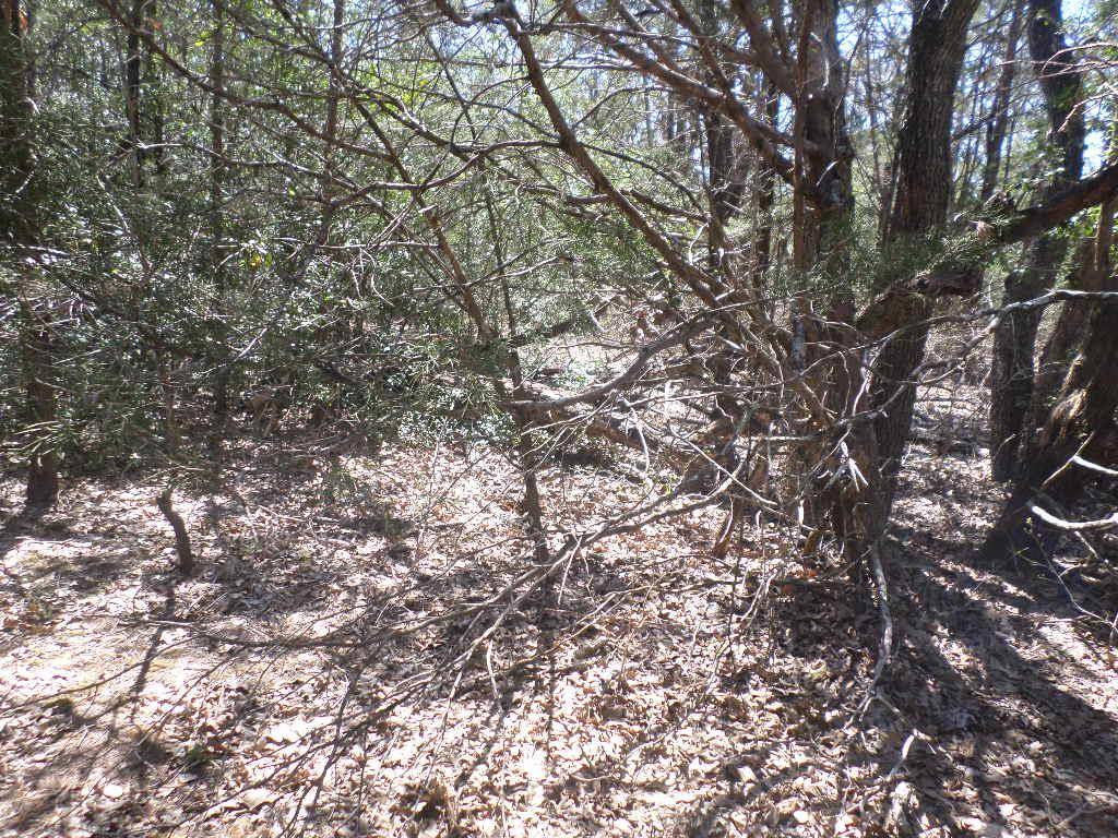 Cedar Creek, TX 78612,TBD R68370 Walter Hoffman RD #H