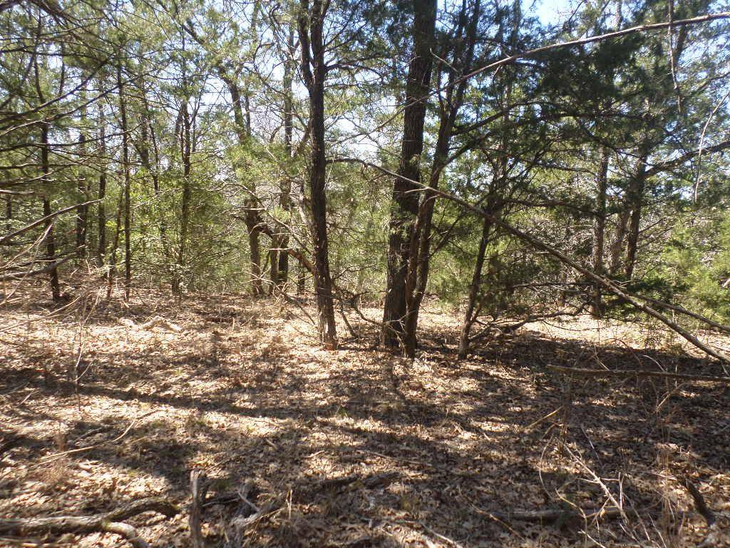 Cedar Creek, TX 78612,TBD R68370 Walter Hoffman RD #H