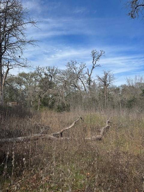 Paige, TX 78659,306 Travis RD