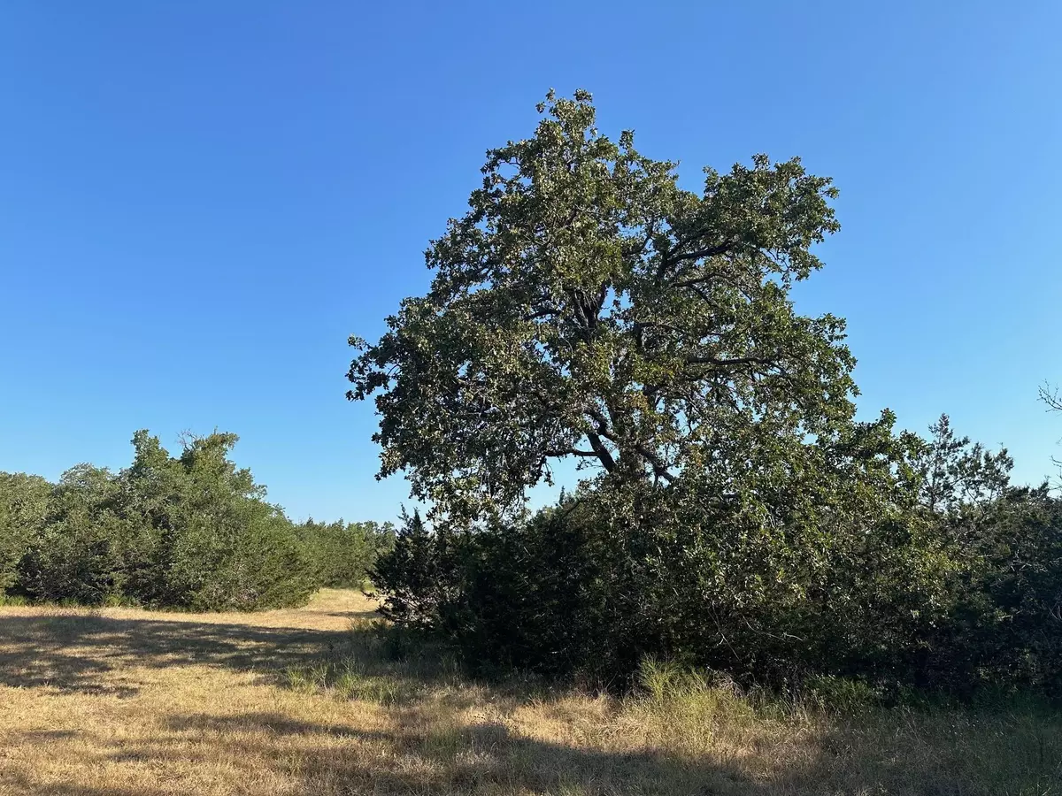 Burnet, TX 78611,49 County Road 200