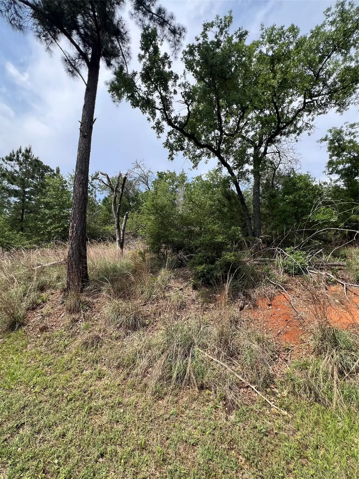 Bastrop, TX 78602,Lot 1671 TBD Moku CT