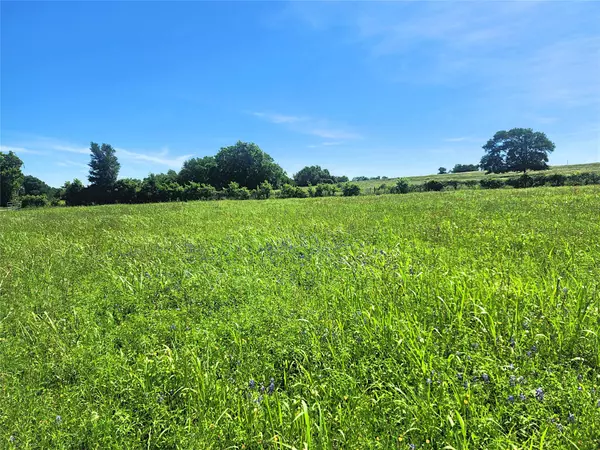 Brenham, TX 77833,5530 Old Chappell Hill RD