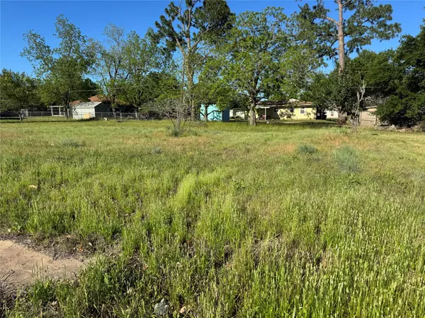 Rockdale, TX 76567,TBD Coffield Lot # 15 ST