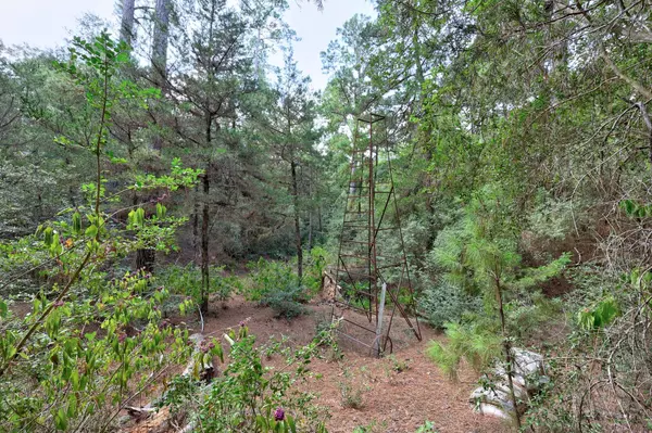 Paige, TX 78659,128 Barras RD