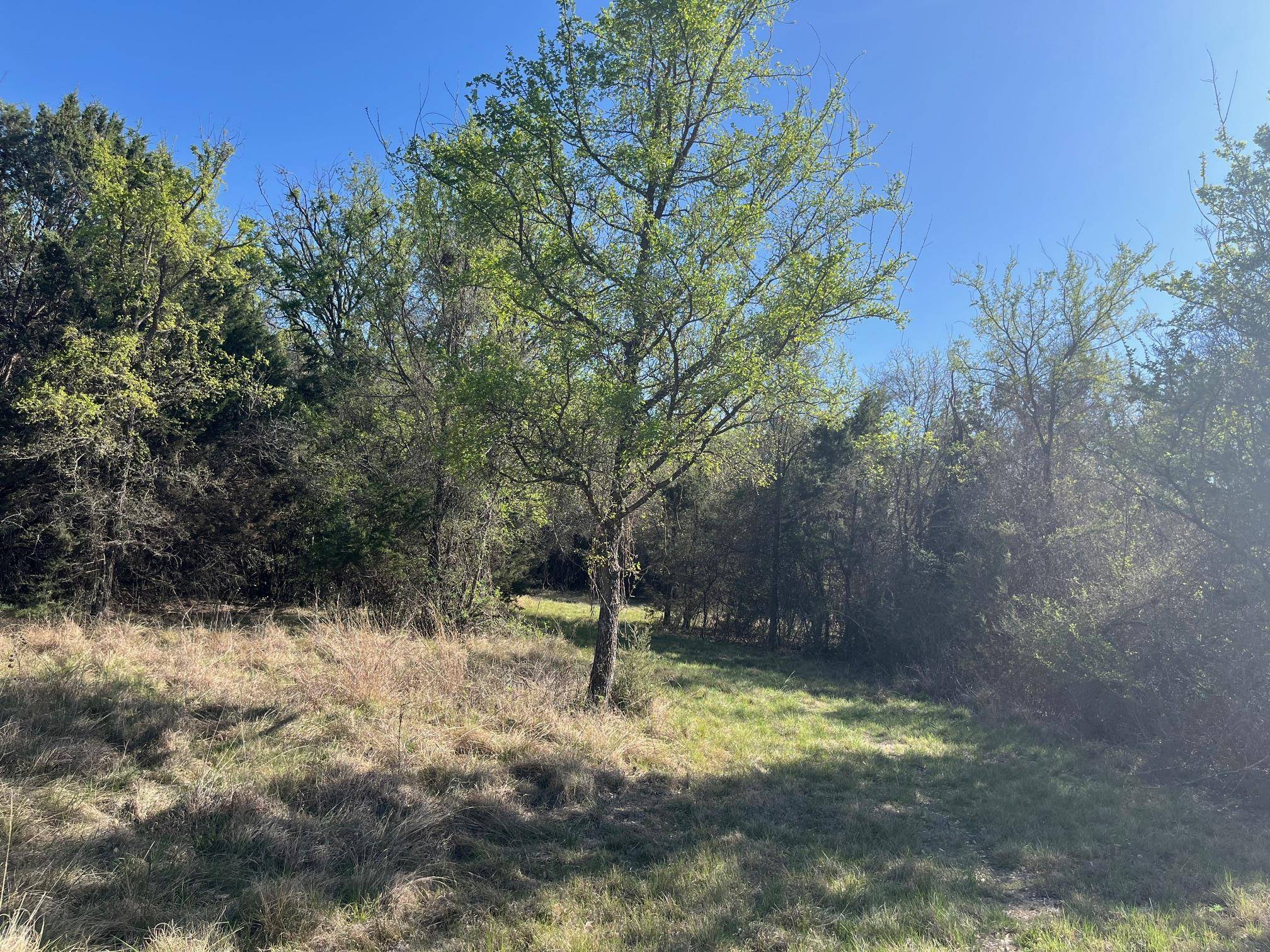 0 US Hwy 183 N HWY, Lometa, TX 76853