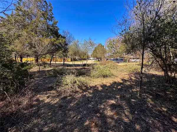 Bastrop, TX 78602,LOT 14 Alta Vista DR